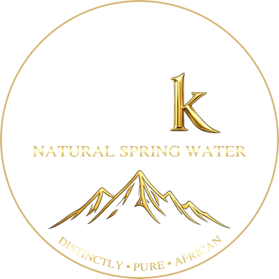 Baraka Spring Water logo