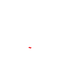 The Jits Shop logo